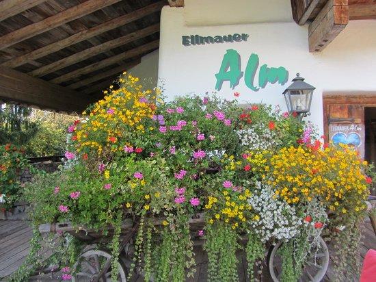 Ellmauer Alm