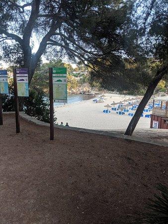 Font de Sa Cala Beach Bar