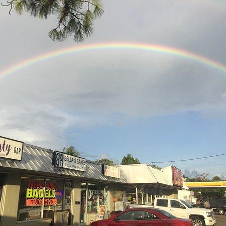 Bella's Bakes Cakes and Bagels