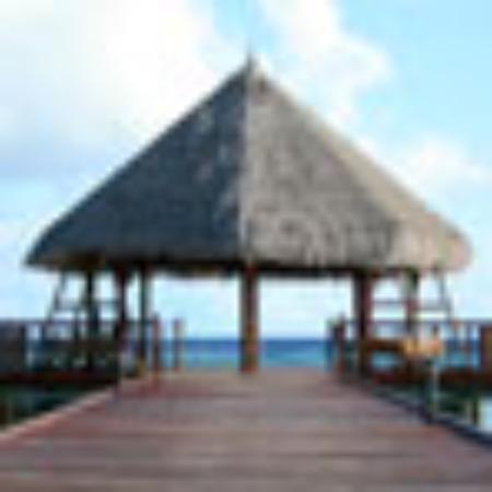 Restaurant Brasserie