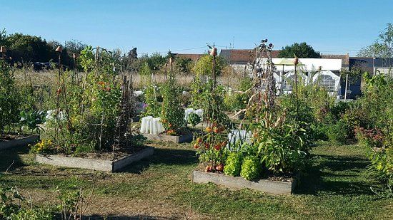 Le Potager en Carres a la Francaise