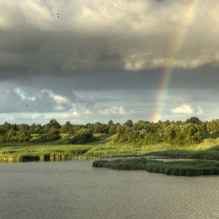 Natuurgebied De Pluimpot