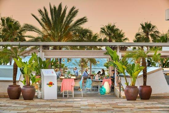 Hayaca by Mauricio Giovanini