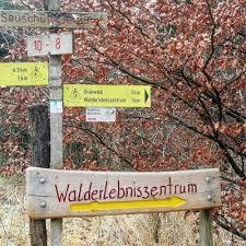 Walderlebniszentrum Grunwald