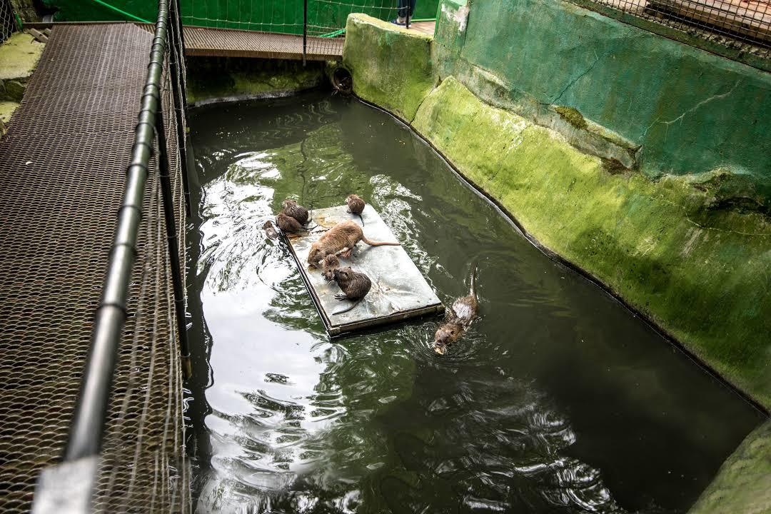 Dierentuin van Zagreb