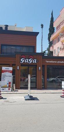 Gaga Tavuklarin Efendisi