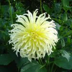 Baeckerei-Konditorei-Cafe Mueller