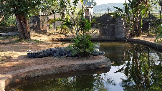 Perry's Bridge Reptile Park