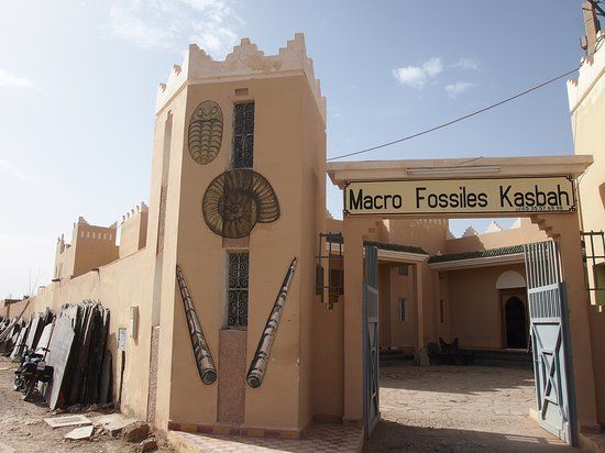 Macro Fossiles Kasbah