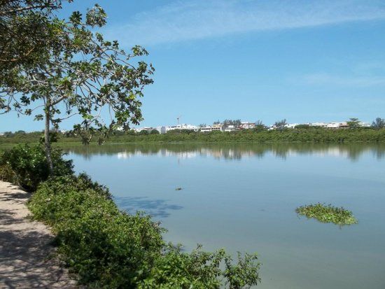 Chico Mendes stadspark