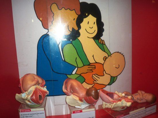 Caracas Children's Museum