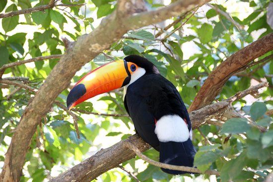 Dierentuin van Santa Cruz