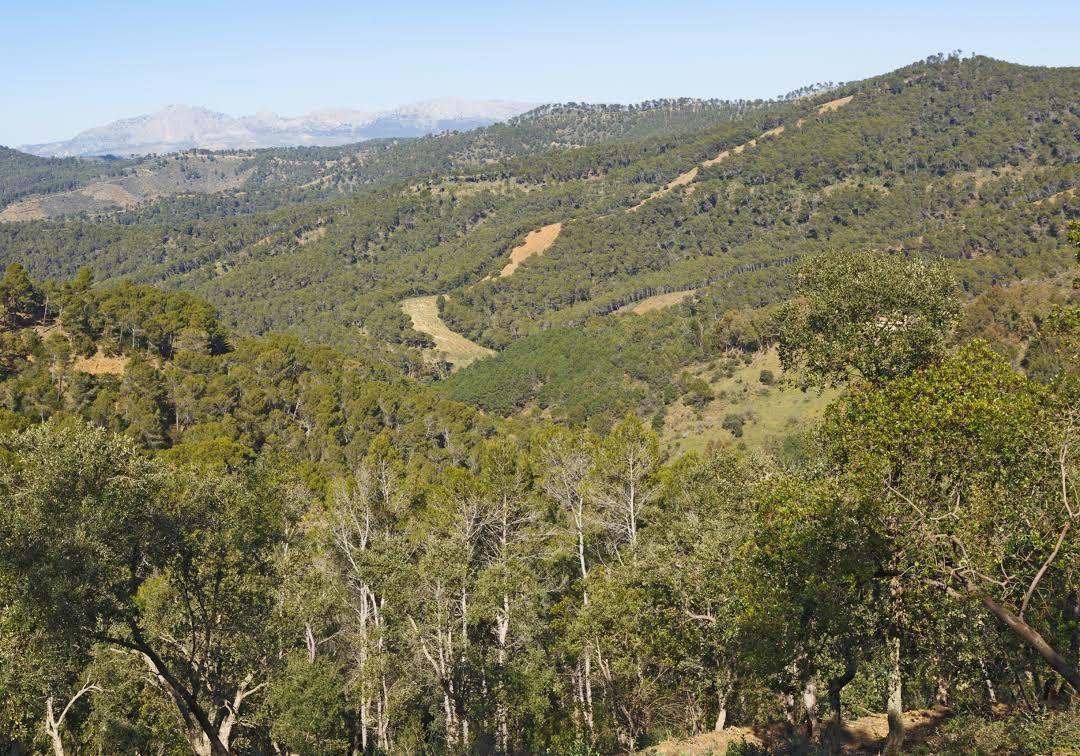 Parque Natural de los Montes de Málaga
