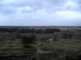 Kalmthoutse Heide