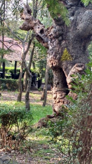 Tlalpan National Park