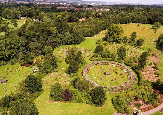 Internationale rozentuin in Belfast