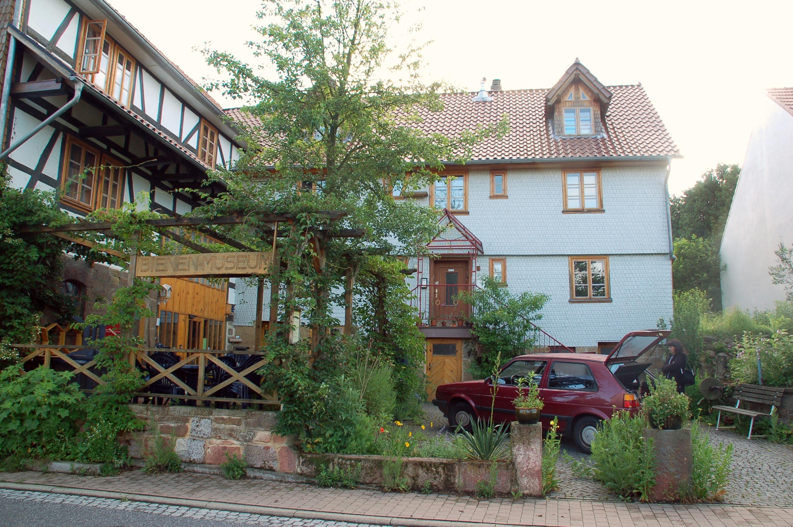 Lebendiges Bienenmuseum Knullwald
