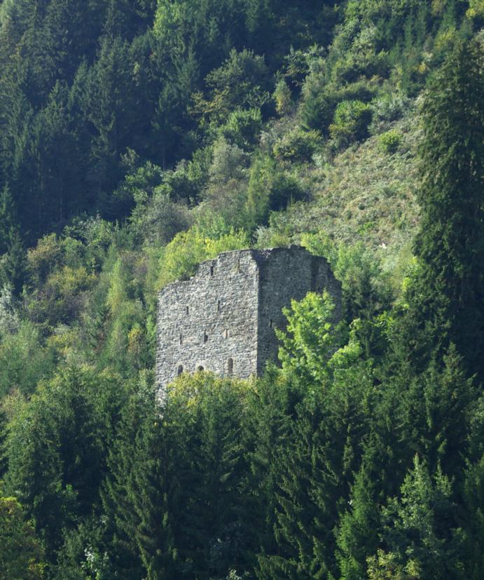 Burgruine Weyer
