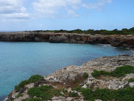 Sa Cova Dels Pardasl