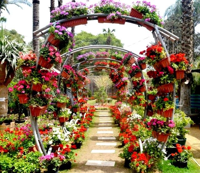 Botanische tuinen van Orman