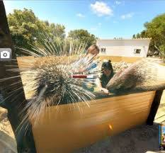 Centro Zoológico Lloc de Menorca