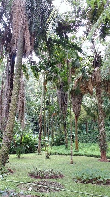 Jardín Botánico La Laguna