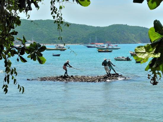 Orla Bardot Boardwalk