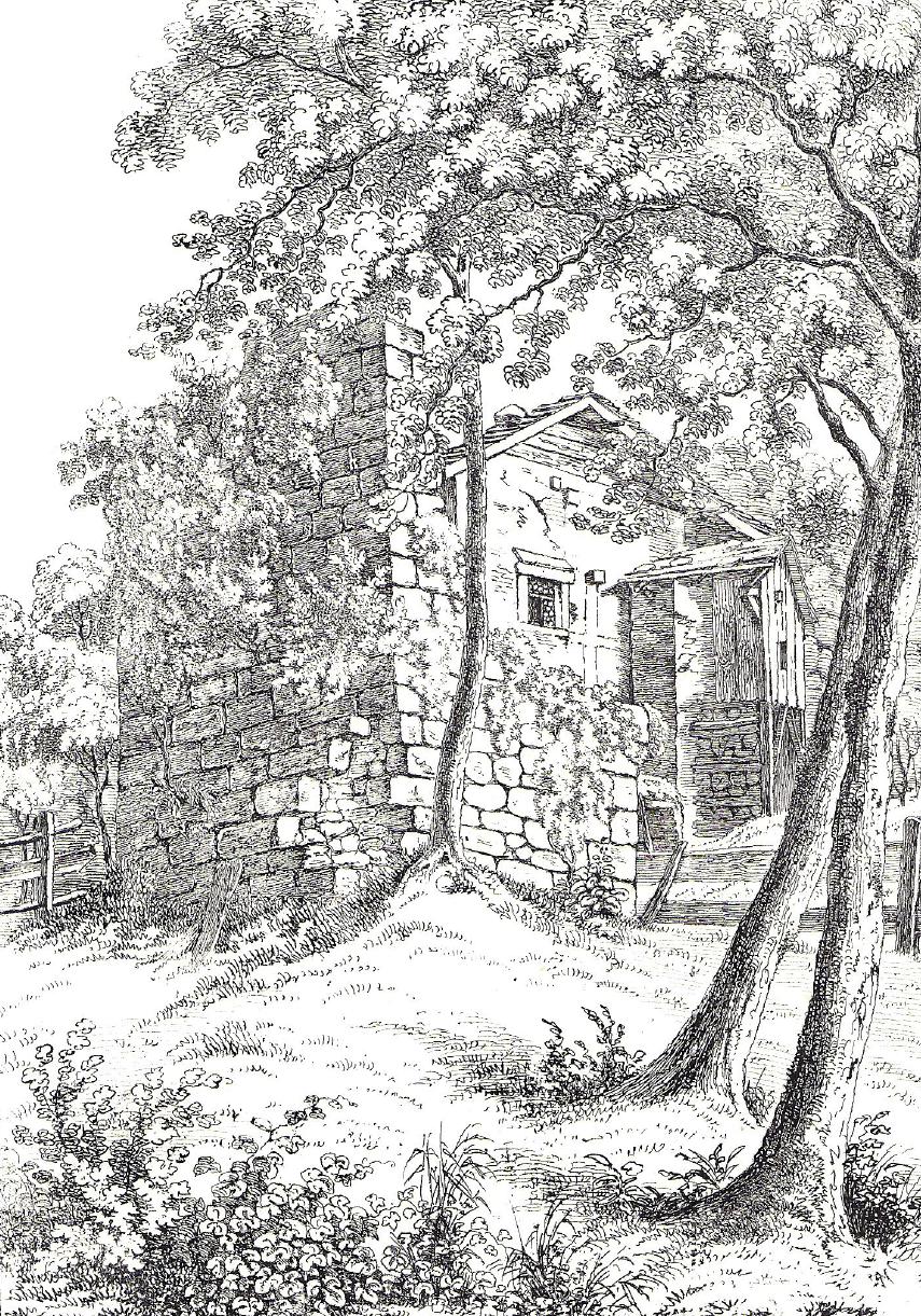 Burgstelle Isenringen