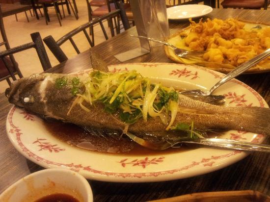 Dampa sa Timog