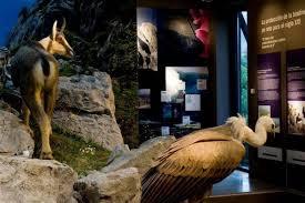 Centro de Interpretacion del Quebrantahuesos