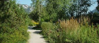 Alpengarten Pfronten