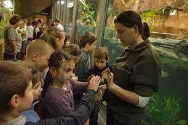 Xantus Janos Allatkert