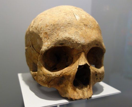 Bezoekerscentrum Mar en klif