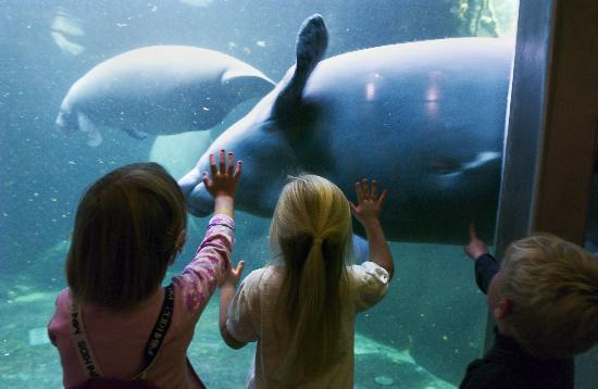 Dierentuin van Odense