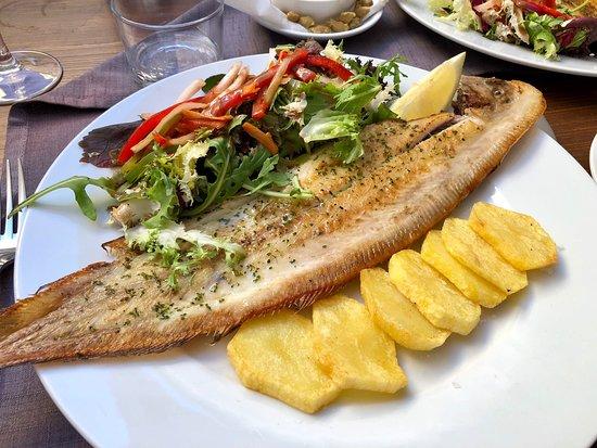 Sa Gripia Arta Mallorca