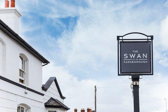 The Swan