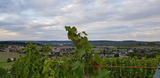 Flair Hotel Landgasthof Roger Restaurant