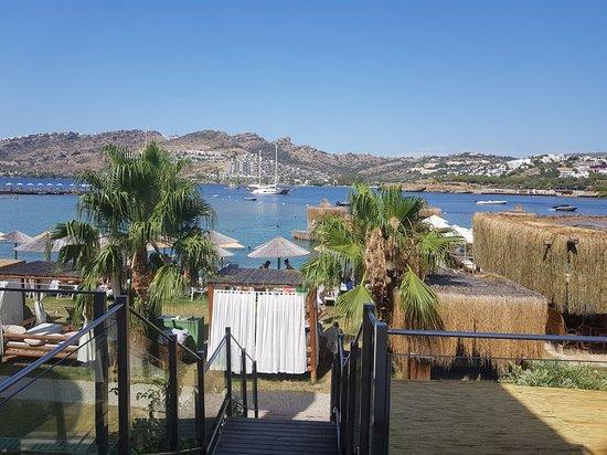 X Beach & Restaurant