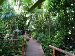 Botanische tuin van Würzburg