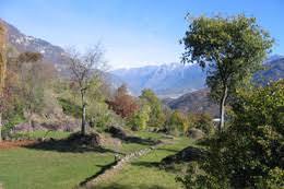 Parco Comunale delle Incisioni Rupestri di Luine