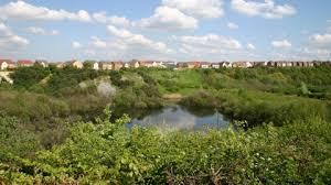 Chafford Gorges Nature Park