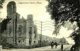 Jigginstown Castle