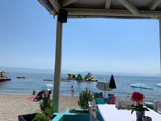 Posidonia