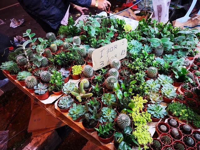 Brinchang Weekend Night Market