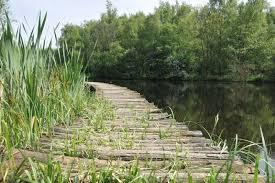 Burgemeester Rasterhoffpark