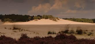 Nationaal Park De Loonse en Drunense Duinen