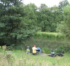 Brookwood Country Park