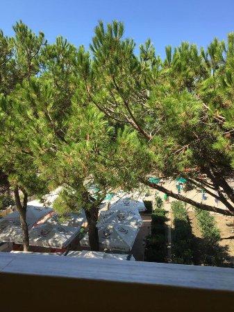 Hotel Restorant ENERA