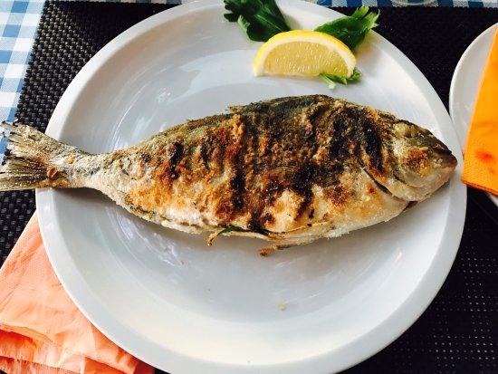 Bar Trattoria A La Playa