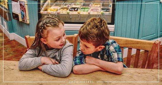 Cadwaladers Red Dragon Centre